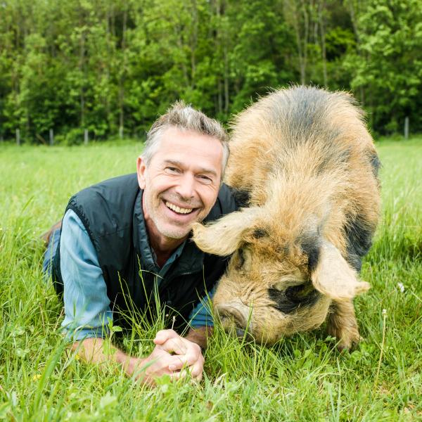 Bild 1 von 9: Schweinchen schlau: Schweine zählen zu den verkannten Genies unter den Tieren. Sie sind viel schlauer als ihr Ruf.