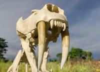 Rückkehr der Urzeit-Giganten