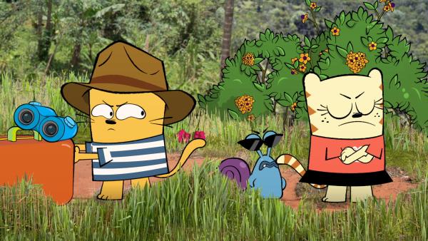 Bild 1 von 3: Ollie, Stanley und Moon in Malaysia