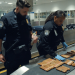 Airport Security USA