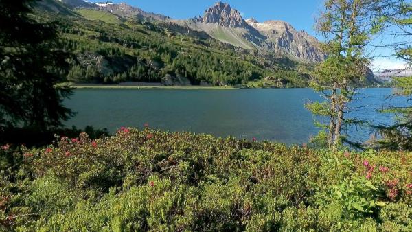Bild 1 von 18: Im Bild: Sihlsee bei St. Moritz.