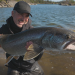 Giganten unter Wasser - Riesenfischen auf der Spur