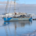 Mission Pinguin - Mit dem Segelboot in die Antarktis