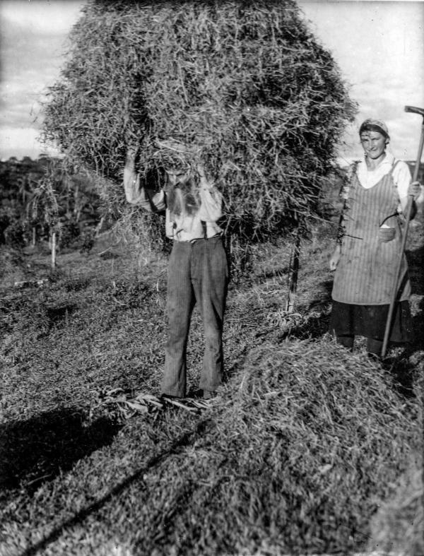 Bild 1 von 4: Im Bild: Dreizehnlinden (Treze Tílias), um 1934, Andreas Thaler bei der Feldarbeit.