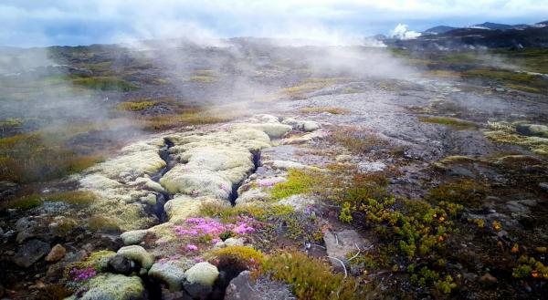 Bild 1 von 3: Schwefeldampf auf Island. Ob in eisigen Höhen oder abgrundtiefen Spalten, die davon erzählen, dass die Erde hier, zwischen Nordamerikanischer und Eurasischer Kontinentalplatte, auseinanderreißt - Island ist ein Naturparadies. \