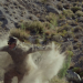 Furious Road