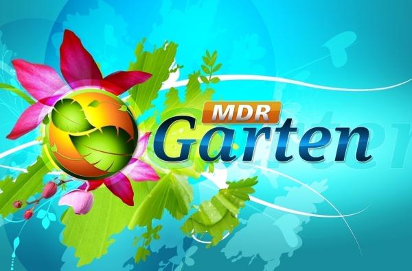 Bild 1 von 3: Logo
