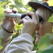 Die wunderbare Welt der Weine