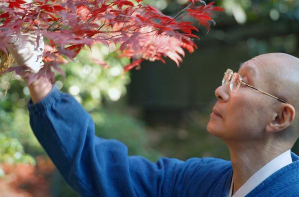Bild 1 von 6: Shunmyo Masuno ist Zen-Mönch und international anerkannter Gartenplaner. Seine Gartenkunst hat ihre Wurzeln im Naturbegriff des Zen-Buddhismus.