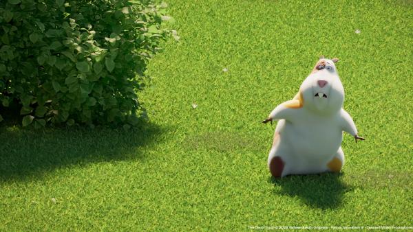 Bild 1 von 1: Ängstlich läuft Hamster Albert durch den Garten, denn er war noch nie draußen.© KiKA/2022 Sixteen South/Mikros Animation IP/Tencent - Honorarfreie Verwendung gemäß AGB im engen inhaltlichen redaktionellen Zusammenhang mit genannter Sendung bei Nennung \