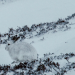 Abenteuer Wildnis