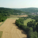 betrifft