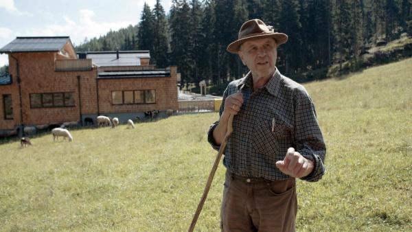 Bild 1 von 18: Im Bild: Die Schafe pflegen den Boden des künstlich abgewaldeten Skiberges. Zudem werden die Schafe auf den großen Rasenflächen wohl genährt. Das Ennstaler Lammfleisch ist eine regionale Spezialität.