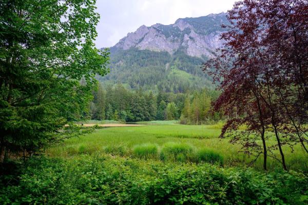 Bild 1 von 9: Im Bild:  Taferlklausee.