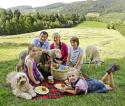 Tiere bis unters Dach