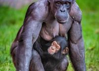 Zoo und so - Tierisch wild!