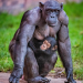 Zoo und so - Tierisch wild!