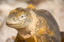3sat 13:20: Galapagos