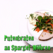 meine Familie & ich tv Gastspiel