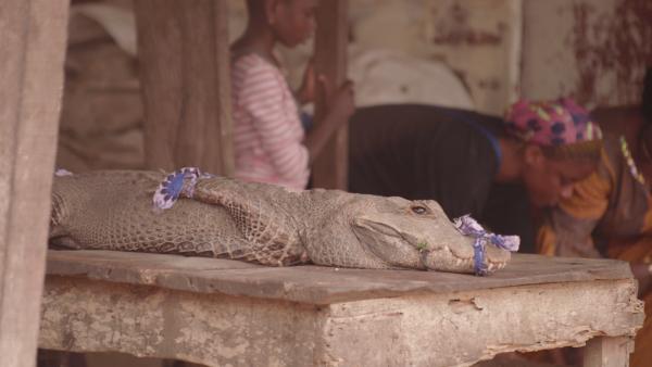 Bild 1 von 8: Auf Wildtiermärkten können Viren, die bisher nur Tiere befallen, den Artensprung zum Menschen schaffen. Wie lässt sich der Wildtierhandel stoppen?