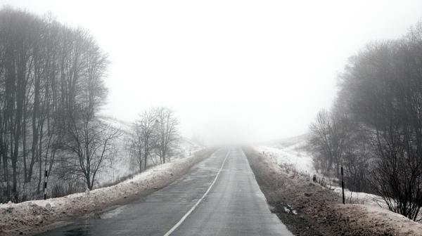 Bild 1 von 8: 