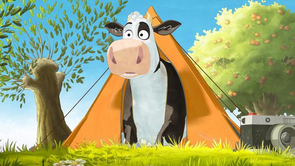 Bild 1 von 4: Lieselotte freut sich auf eine Übernachtung im Zelt.