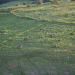 Welt der Tiere