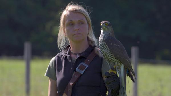 Bild 1 von 11: Im Bild: Falknerin Mirjam Baumgartner.