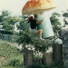 Takeshi's Castle