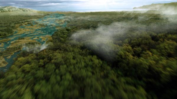 Bild 1 von 5: Wo sich heute der größte zusammenhängende Eichenwald Mitteleuropas zwischen Hollabrunn und Mistelbach ausbreitet, floss einst die Urdonau.