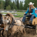 Heartland - Paradies für Pferde
