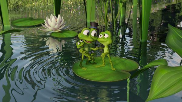 Bild 1 von 6: Die Froschfamilie ist wieder vollständig.