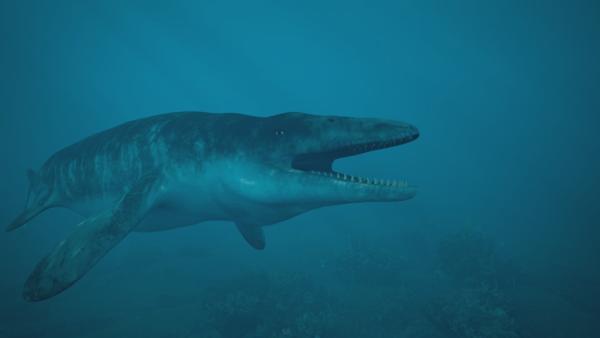 Bild 1 von 5: Die gewaltigen Mosasaurier beherrschten die Meere der Kreidezeit.