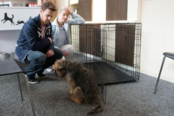 Bild 1 von 3: 