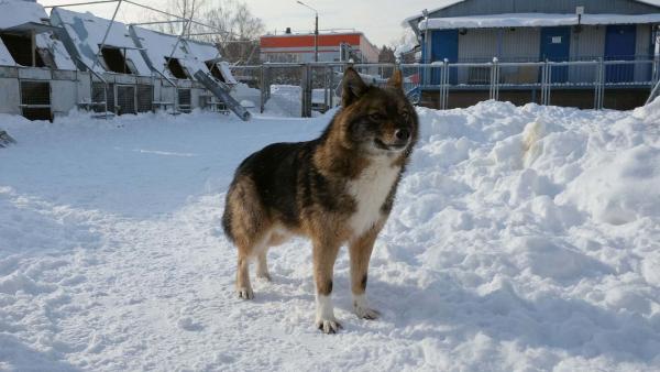 Bild 1 von 4: .