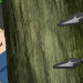 Boruto