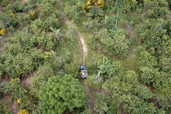 Bild 1 von 7: Die Kakaofarmer beliefern die größten Schokoladenhersteller der Welt. Die Pflanze gedeiht nur 20 Grad nördlich und südlich des Äquators.
