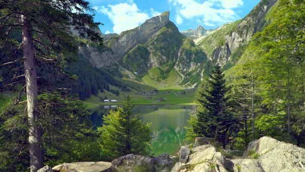 Bild 1 von 1: .
