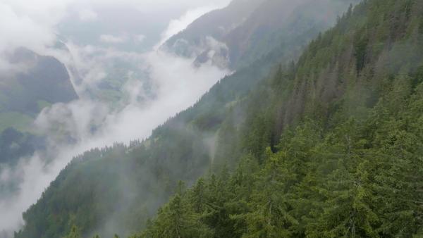 Bild 1 von 12: .