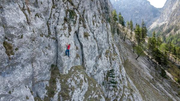Bild 1 von 14: .