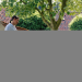 Bild 19