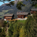 Erlebnis Defereggental - der Duft der Zirbe
