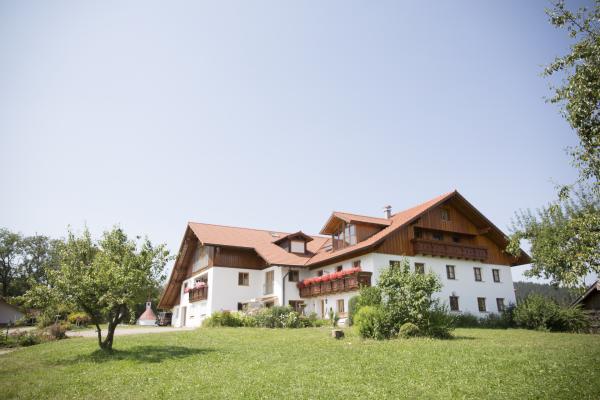 Bild 1 von 30: Einen herrlichen Ausblick hat man vom Allgäuer Berghof der Kinkers (im Bild): Direkt auf den Forggensee und die berühmten Königsschlösser Neuschwanstein und Hohenschwangau. Irmi wollte ursprünglich auf gar keinen Fall einen Bauern heiraten - es kam anders.