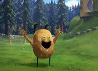 Kiwi & Strit