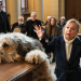 Bild 16