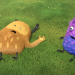 Kiwi & Strit