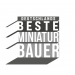 Deutschlands beste Miniaturbauer