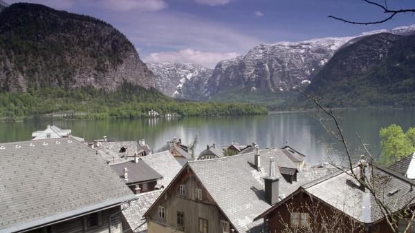 Bild 1 von 6: .