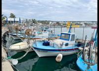 Zyperns Süden: Aphrodites Paradies im Mittelmeer