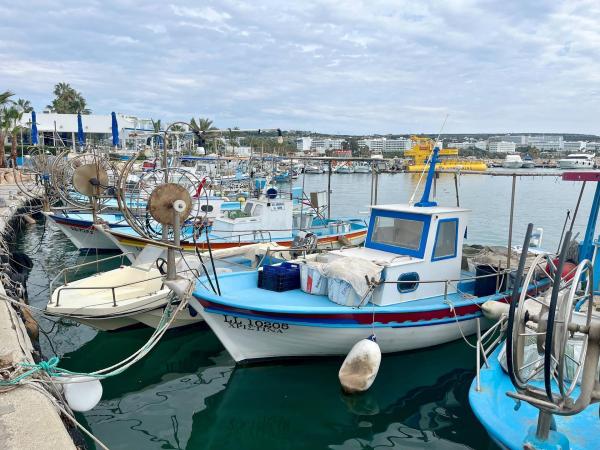 Bild 1 von 13: Im Bild: Im Osten Zyperns starten die Fischer vom Hafen von Agia Napa aus ins Mittelmeer.